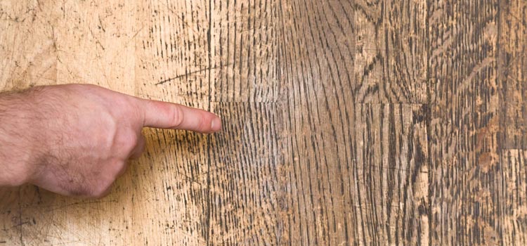 Wood Door Scratch Repair in Union City